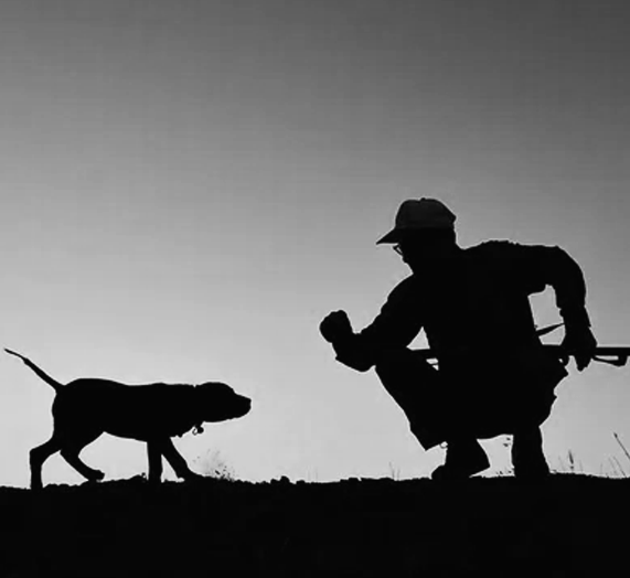 imagen blog caza y defensa rastreo