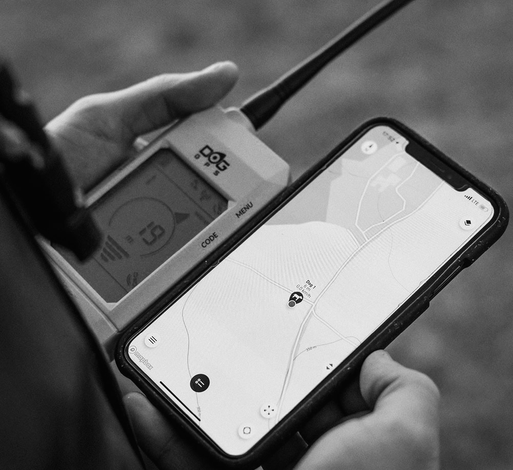 DOGTRACE GPS X30-T gps para perros caza y defensa blog