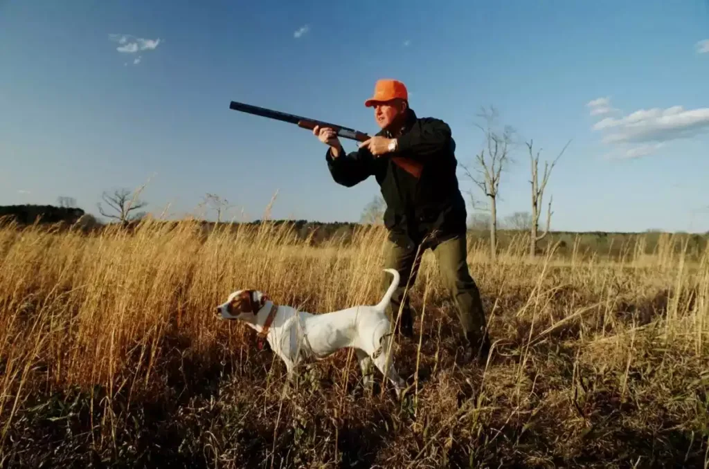blog caza y defensa Cuándo se puede cazar en España