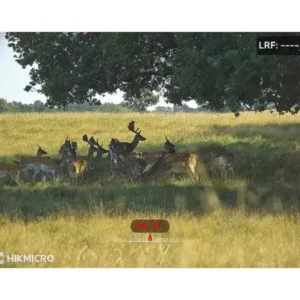 multispectral_binoculars_hikmicro_habrok_pro_hq50ln_940_nm_prismaticos_termicos_caza_y_defensa