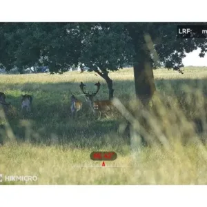 multispectral_binoculars_hikmicro_habrok_pro_hq50ln_940_nm_prismaticos_termicos_caza_y_defensa