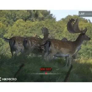 multispectral_binoculars_hikmicro_habrok_pro_hq50ln_940_nm_prismaticos_termicos_caza_y_defensa