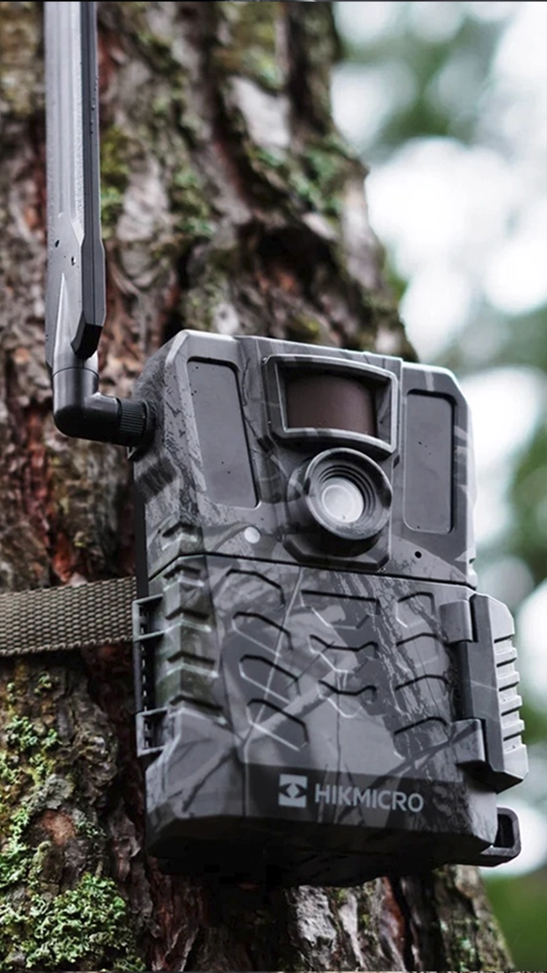 fototrampeo camaras hikmicro caza y defensa