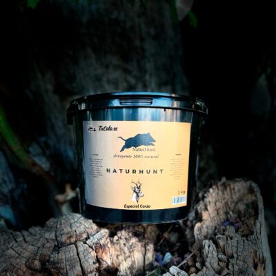 000de29b f022 4c6f b2ae 5f5ca801792a 1.jpeg