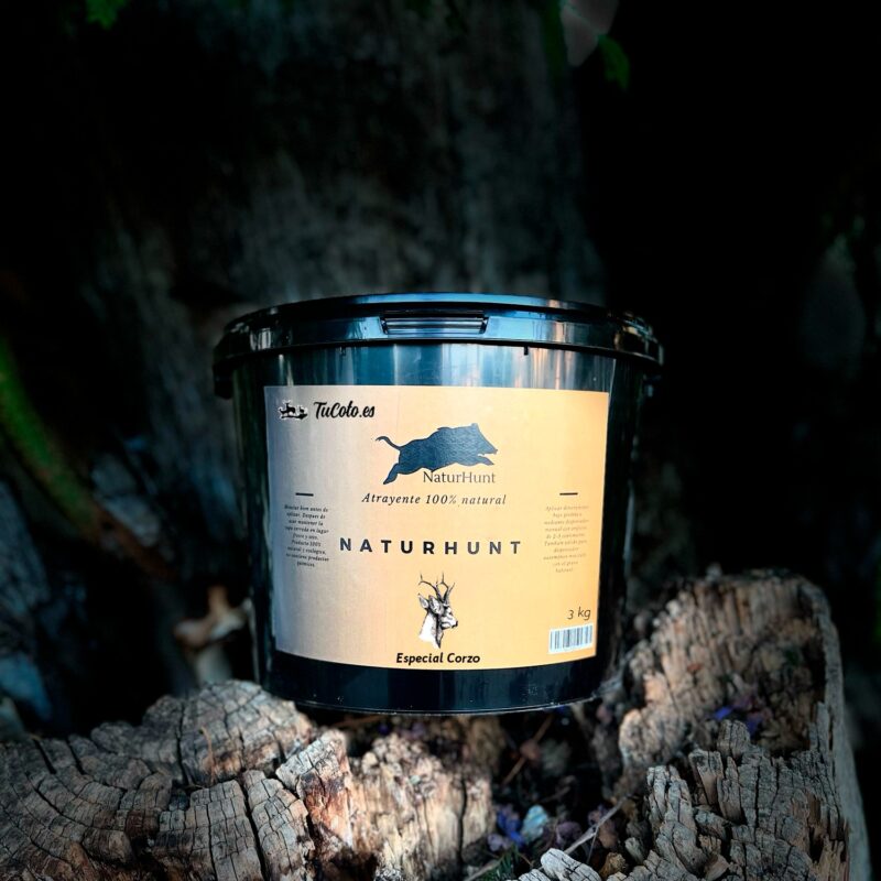 000de29b f022 4c6f b2ae 5f5ca801792a 1.jpeg