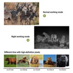 cámara foto trampeo