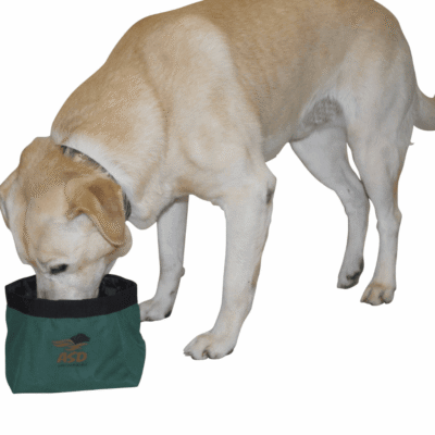 11comedero perros plegable asd min.png