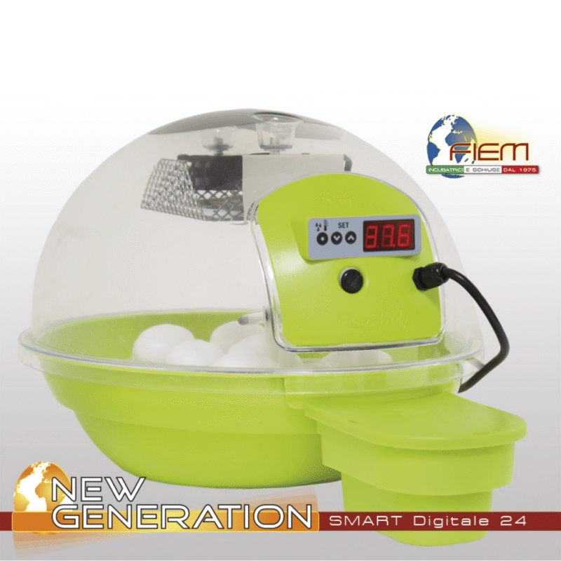 1fiem smart digital min.png