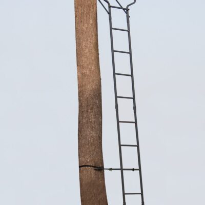 1主体 scaled 1.jpg