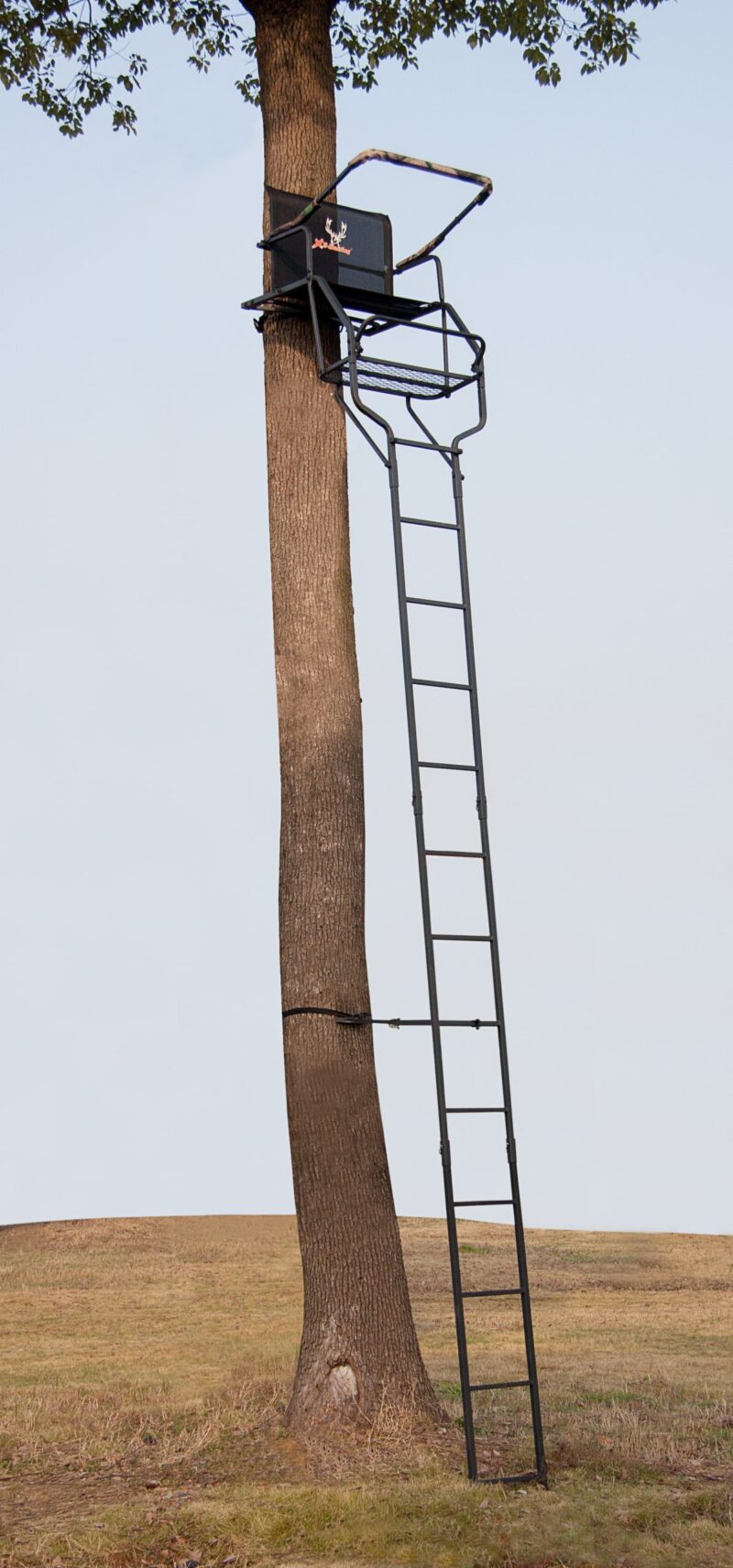 1主体 scaled 1.jpg