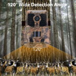 cámara foto trampeo