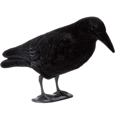 20cuervo cuerpo entero.png