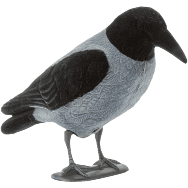 21urraca cuerpo entero.png 21urraca cuerpo entero.png