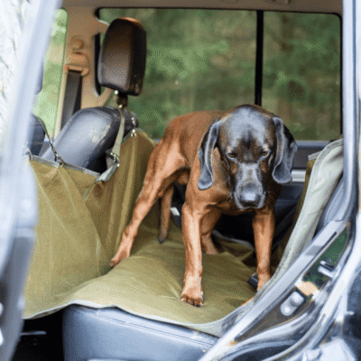 25funda asiento coche trasero2 min.png