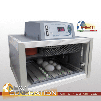 2fierm mgcipcip28 min.png