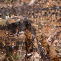 3d deluxe camo marrÓn