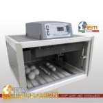 3fierm mgcipcip40 min.png