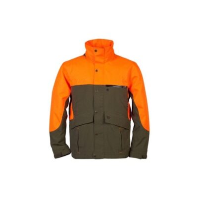 457986056 780x585 1.jpg