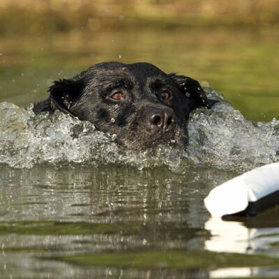 import placeholder for 9443