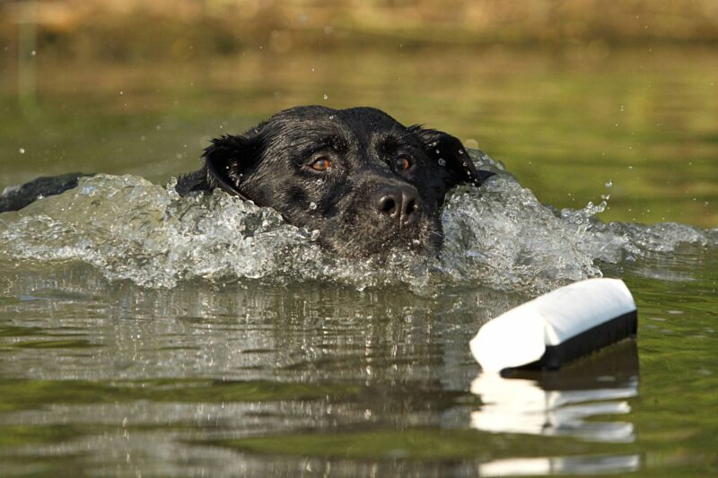 import placeholder for 9443 import placeholder for 9443