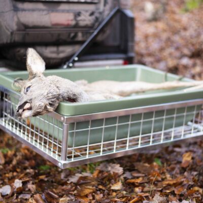 import placeholder for 6799