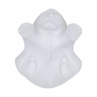 560752 1 1920x1920 1.jpeg