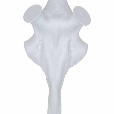 import placeholder for 5355