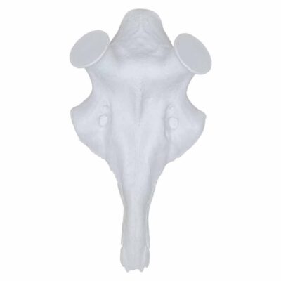 560771 1 1920x1920.jpeg