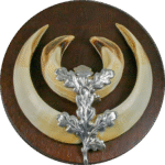 560784 3 1920x1920.png