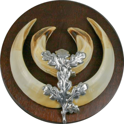 560784 3 1920x1920.png