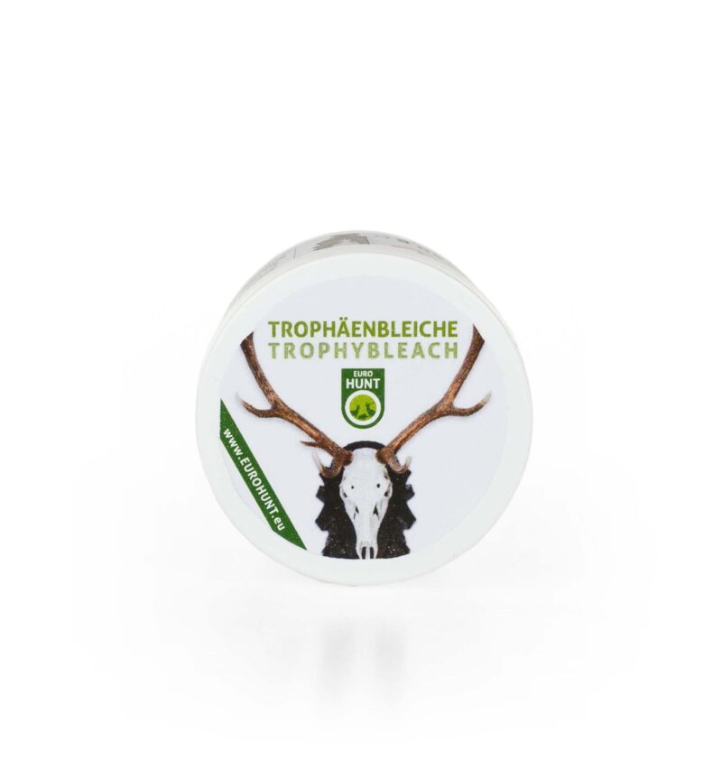 560798 1 1920x1920.jpeg