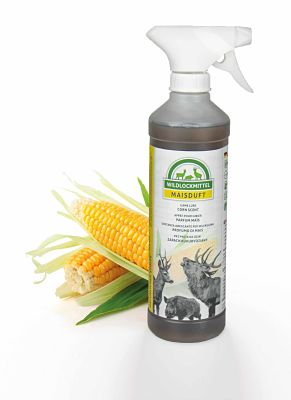 590272 3 min opt.jpg