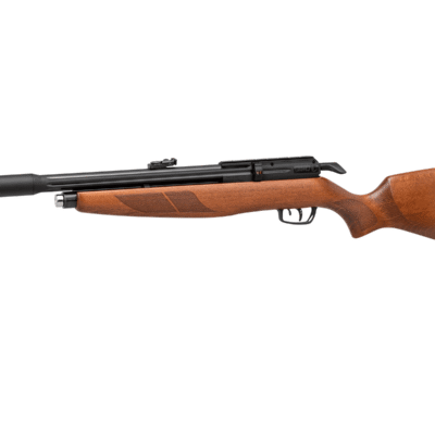 600004p1hp riser punisher.png