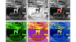 binocular térmico guide tn normae