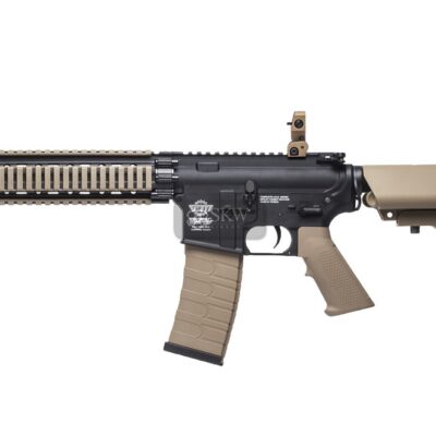 aeg cm18 mod1 combo gg egc 18p md1 bnb ecm.jpg