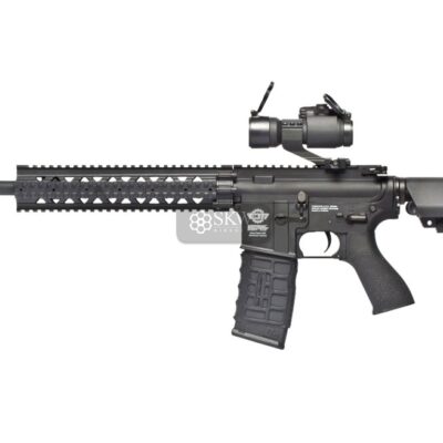 aeg cm 16 r8 l combo gg egc 16p r8l bnb ecm.jpg
