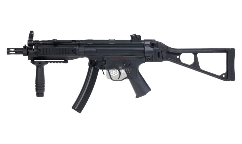 aeg fm5 cyma cm041.jpg