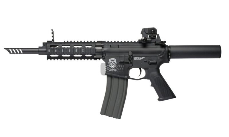 aeg gr16 cqw wasp plastic blow back combo gg egr 16p wsp bbb ecm.jpg aeg gr16 cqw wasp plastic blow back combo gg egr 16p wsp bbb ecm.jpg