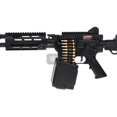 aeg lmg 6671 combo golden eagle.jpg