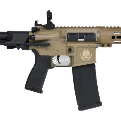 aeg ronin tan combo saigo defense.jpg