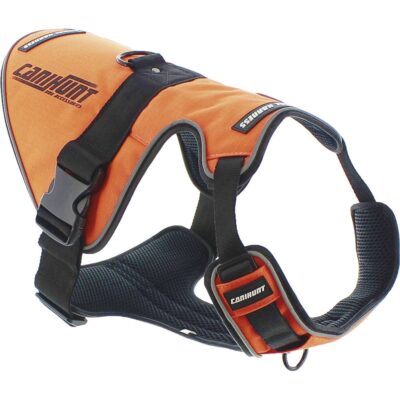 import placeholder for 10190