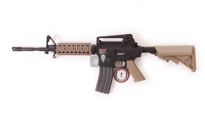 b combo gg egc 16p a4c dnb ecm.jpg