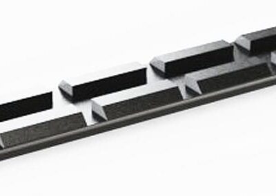 carril poli nicoletta ruger 44.jpg