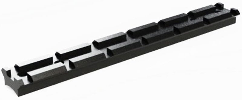 carril poli nicoletta savage 10.jpg