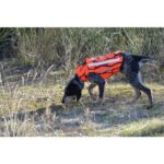 chaleco protección canihunt defender 2.0