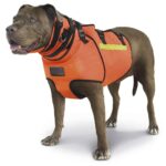 chaleco Élite bulwark – razas pequeñas