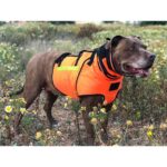 chaleco Élite bulwark – razas pequeñas