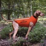 chaleco bulwark talla 75, 80 y 85