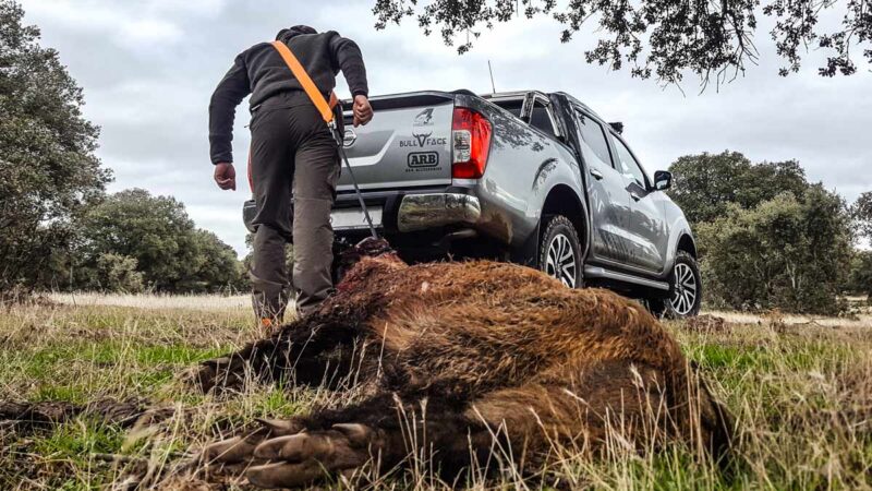 import placeholder for 6772