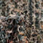 rollo classic camo 3d